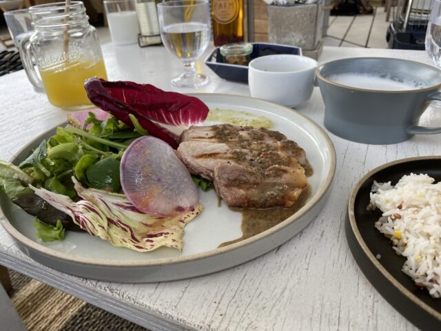 横須賀・三浦・葉山でおすすめドッグカフェBEST3！