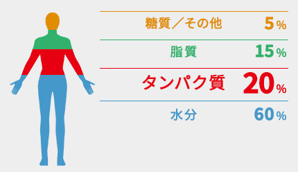 ダイエット中におすすめ！コンビニで買える低糖質おやつ　血糖値が上がりにくい甘味料もご紹介します